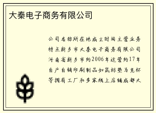 大秦电子商务有限公司